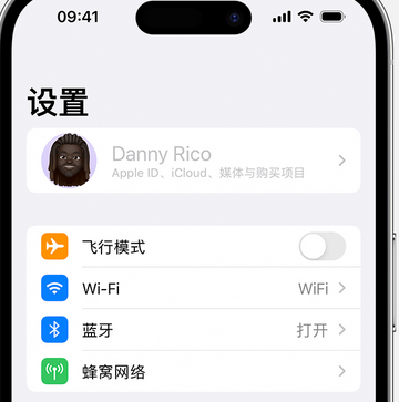 临朐appleID维修服务iPhone设置中Apple ID显示为灰色无法使用 