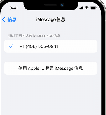 临朐apple维修iPhone上无法正常发送iMessage信息 