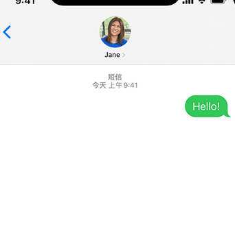 临朐apple维修iPhone上无法正常发送iMessage信息