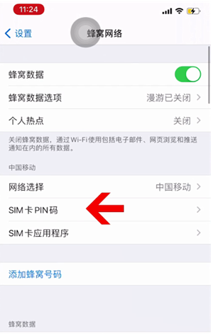 临朐苹果14维修网分享如何给iPhone14的SIM卡设置密码 