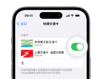 临朐apple维修点分享iPhone上更换Apple Pay快捷交通卡手绘卡面 