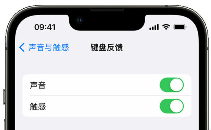 临朐苹果手机维修分享iPhone 14触感键盘使用方法 