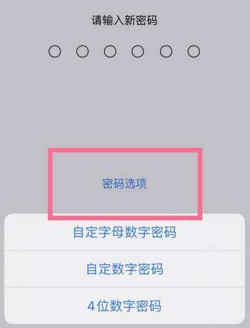 临朐苹果14维修分享iPhone 14plus设置密码的方法 