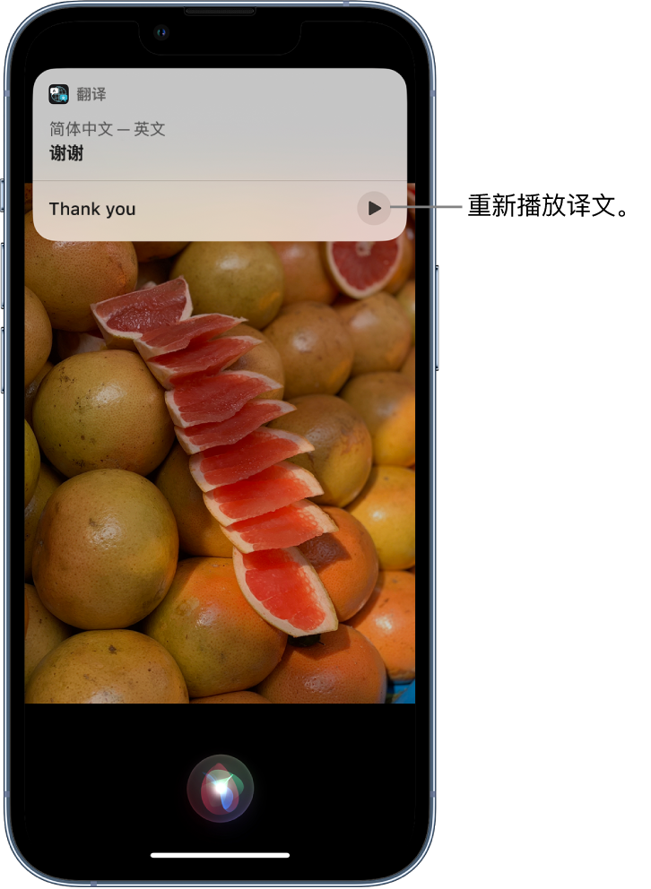 临朐苹果14维修分享 iPhone 14 机型中使用 Siri：了解 Siri 能帮你做什么 