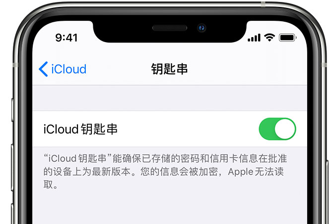 临朐苹果手机维修分享在 iPhone 上开启 iCloud 钥匙串之后会储存哪些信息 