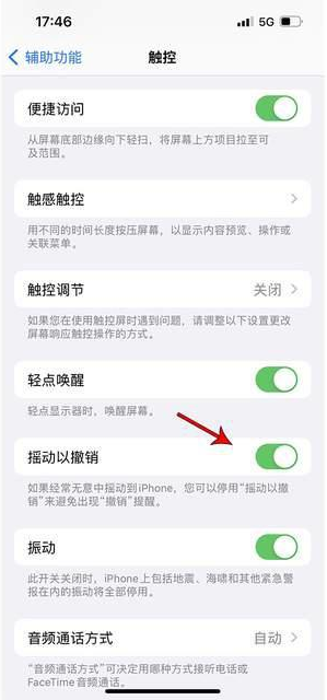 临朐苹果手机维修分享iPhone手机如何设置摇一摇删除文字 