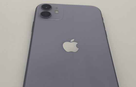 临朐苹果11系统维修分享iPhone11手机系统崩溃无法开机如何解决 